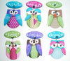 Wise owl pins/magnets - Laurie Speltz