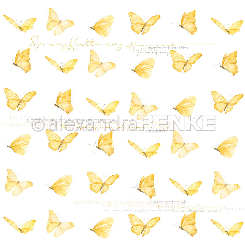 Carta 30x30 Alexandra Renke - Butterfly international