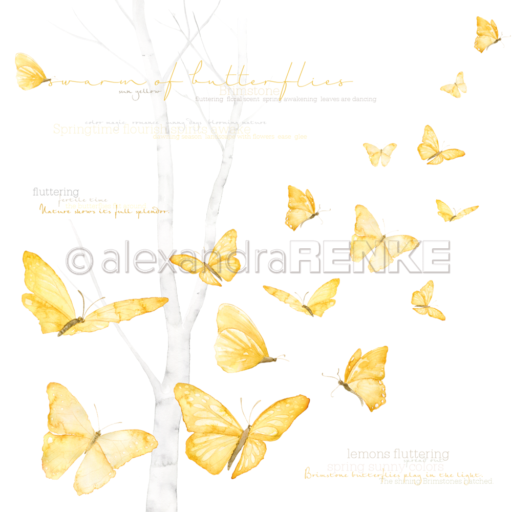 Carta 30x30 Alexandra Renke - Butterfly swarm international