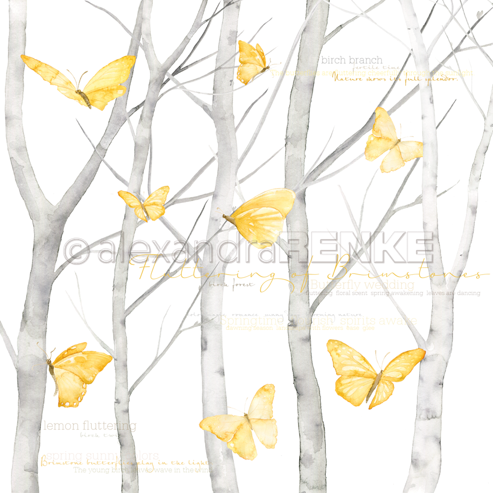 Carta 30x30 Alexandra Renke - Butterfly in birch forrest international