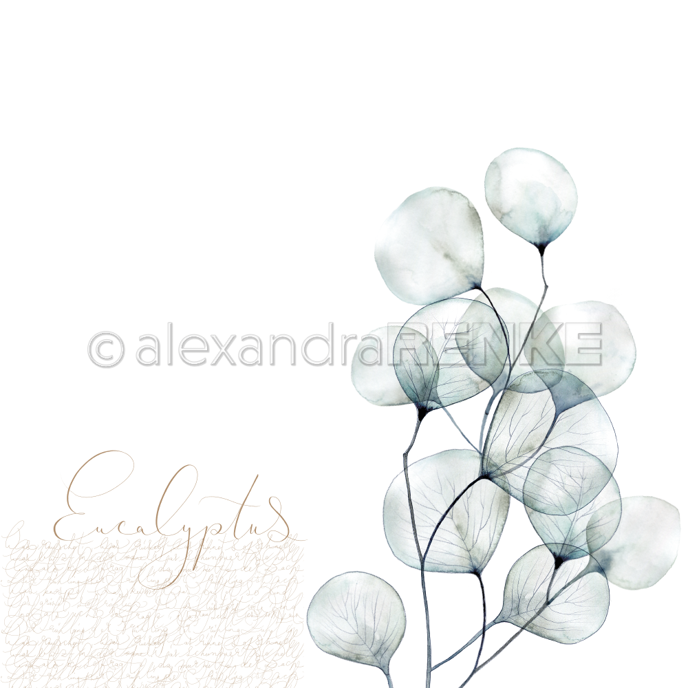 Carta 30x30 Alexandra Renke - Eucalyptus