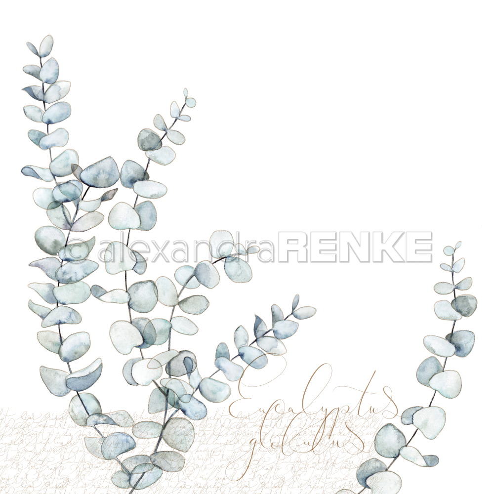 Carta 30x30 Alexandra Renke - Eucalyptus branches