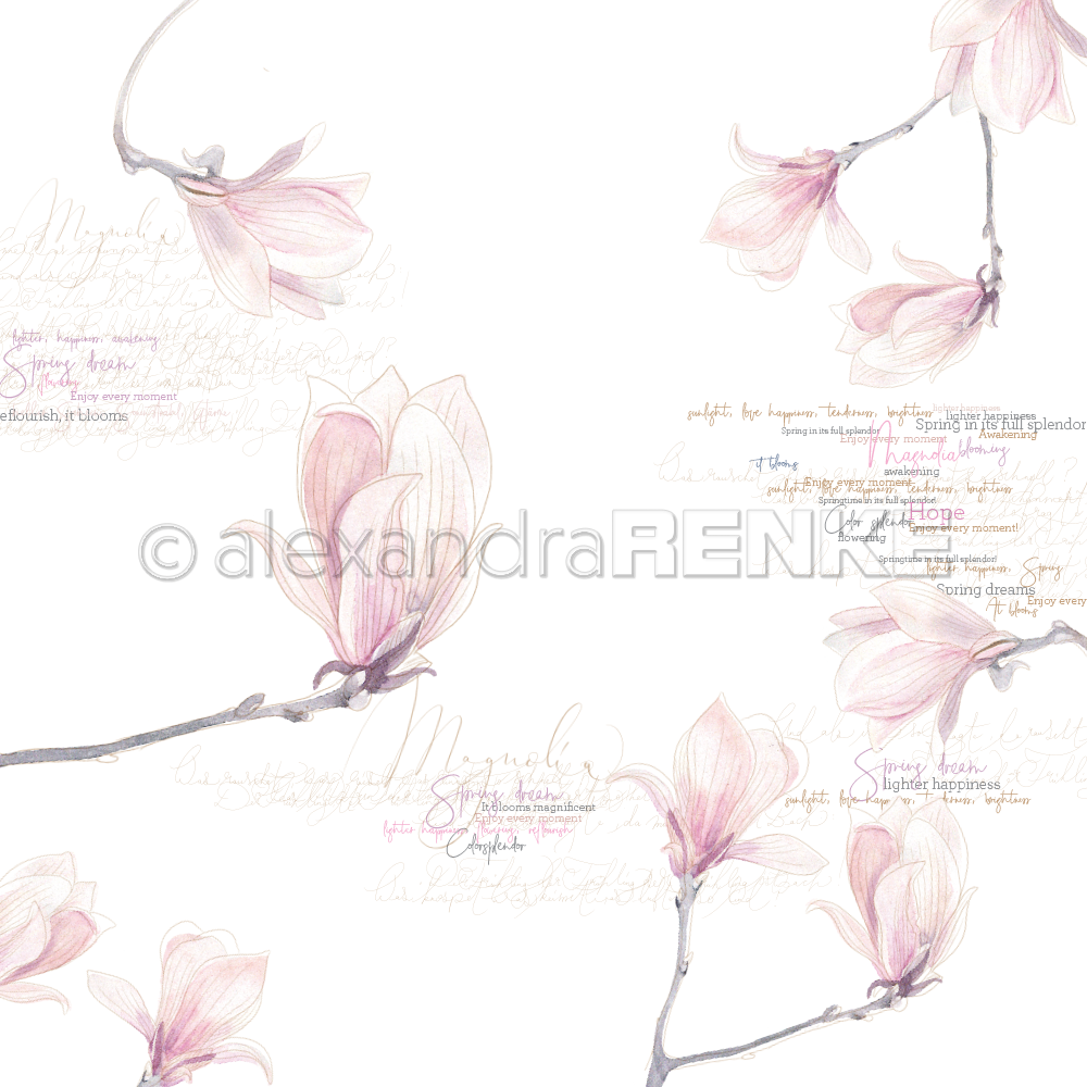 Carta 30x30 Alexandra Renke - Magnolia blossoms