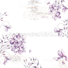 Carta 30x30 Alexandra Renke - Violet blossoms