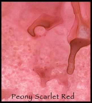 Peony Scarlet Red - Lindy's Magical Powder