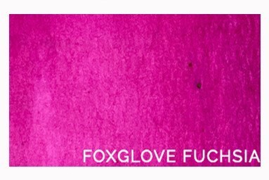 Foxglove Fuchsia - Lindy's Magical Powder
