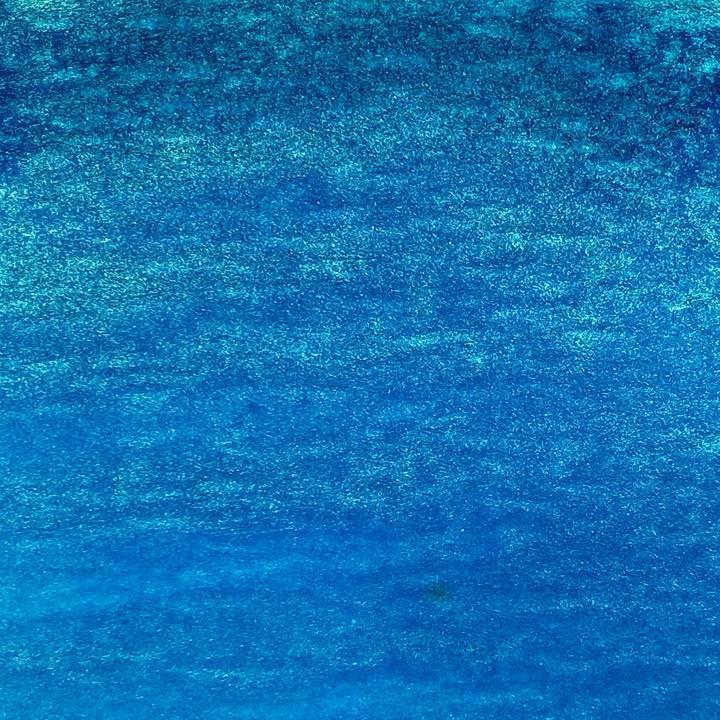 Delphinum Turquoise - Lindy's Magical Powder