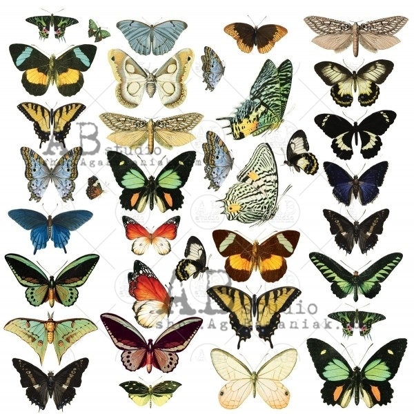 Die-cuts "Butterflies" #48- Abstudio