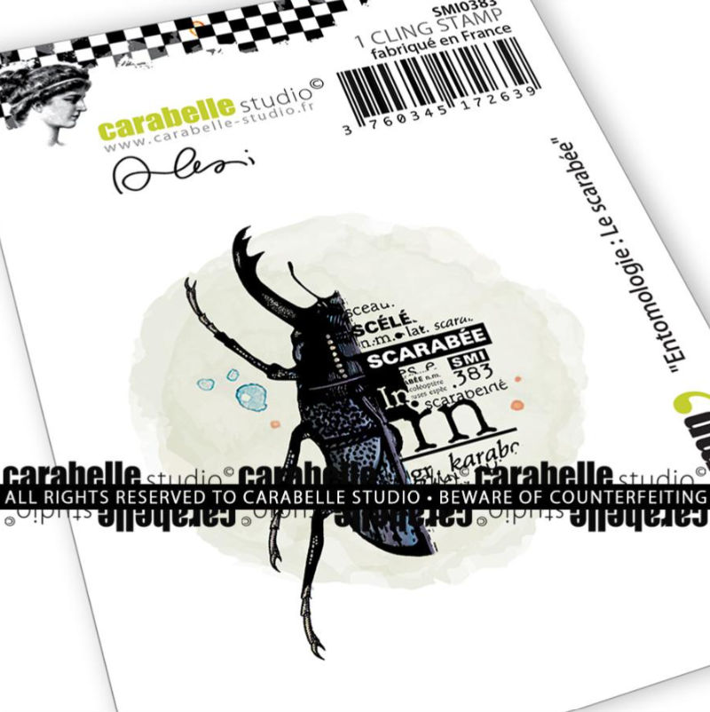 Cling Stamp A6: Entomologie : Le scarabée by Alexi - Carabelle Studio