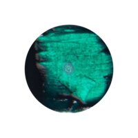 Emerald - Liquid Acrylic Paint Prima Marketing