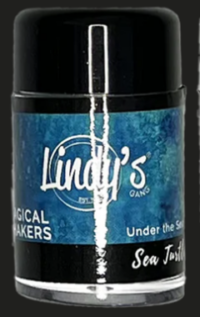 Sea Turtle Teal - Lindy's Magical Shakers