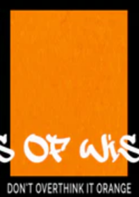 Don't Overthink it Orange - Lindy's Magical Powder