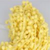 Nastro con pompom - giallo