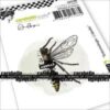 Entomologie: L'abeille - Carabelle Studio