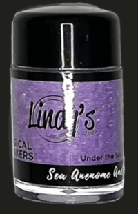 Sea Anemone Amethyst - Lindy's Magical Shakers